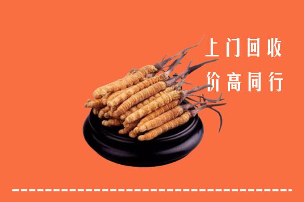 高价求购：济宁市嘉祥回收散虫草