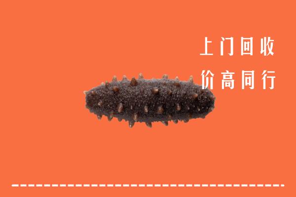高价求购：济宁市嘉祥回收海参