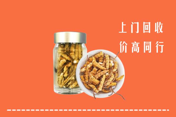 济宁市嘉祥回收冬虫夏草